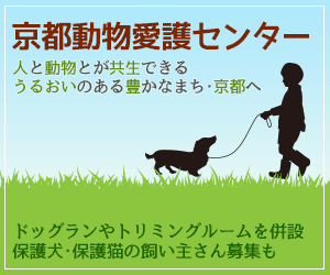 京のシッポ 京都の犬に関する情報を発信