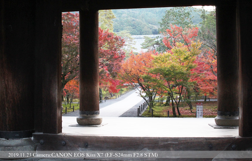 南禅寺山門の柱と紅葉(2019.11.23 撮影）