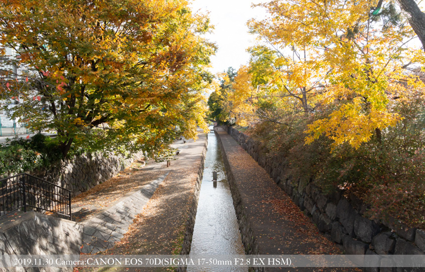 京都堀川の散策路