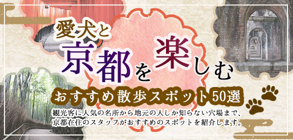 京のシッポ 京都の犬に関する情報を発信