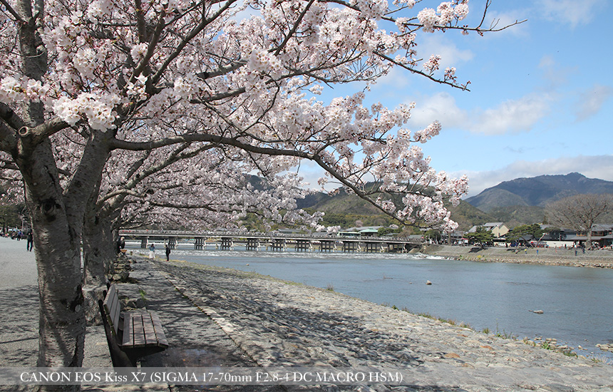 京都嵐山 渡月橋