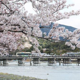 京都嵐山 渡月橋