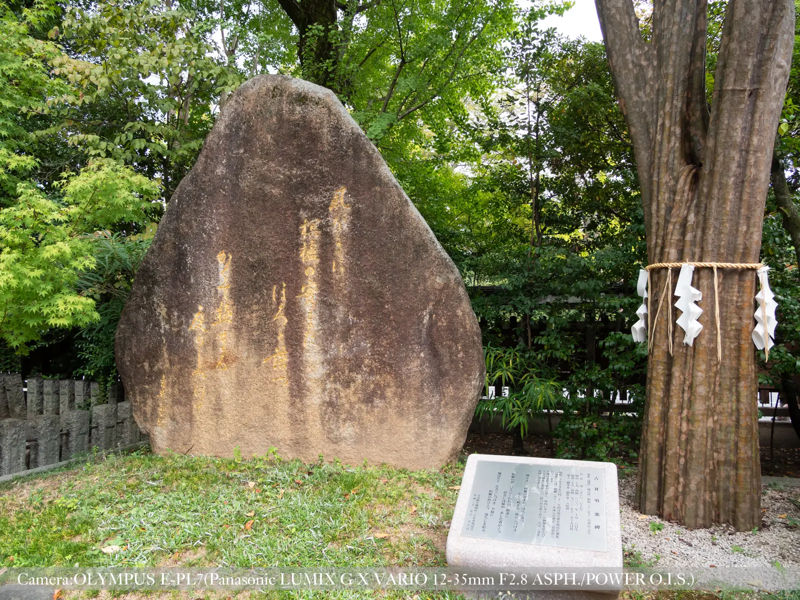 護王神社　歌碑とカリンの木