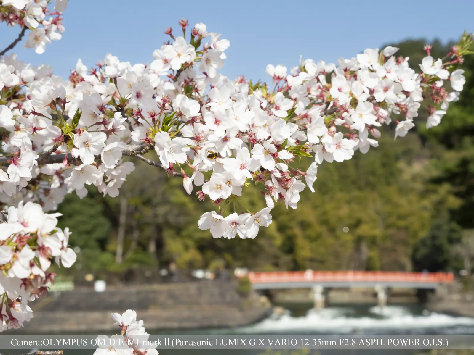 宇治・宇治公園（塔の島からの眺め）