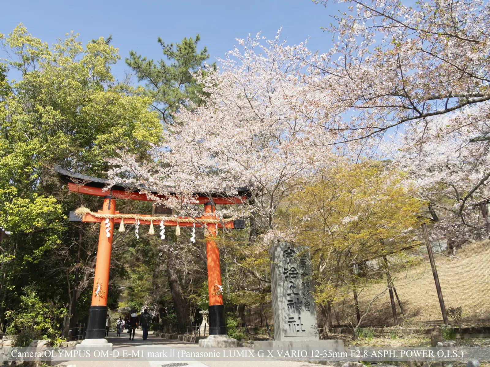 宇治・宇治上神社
