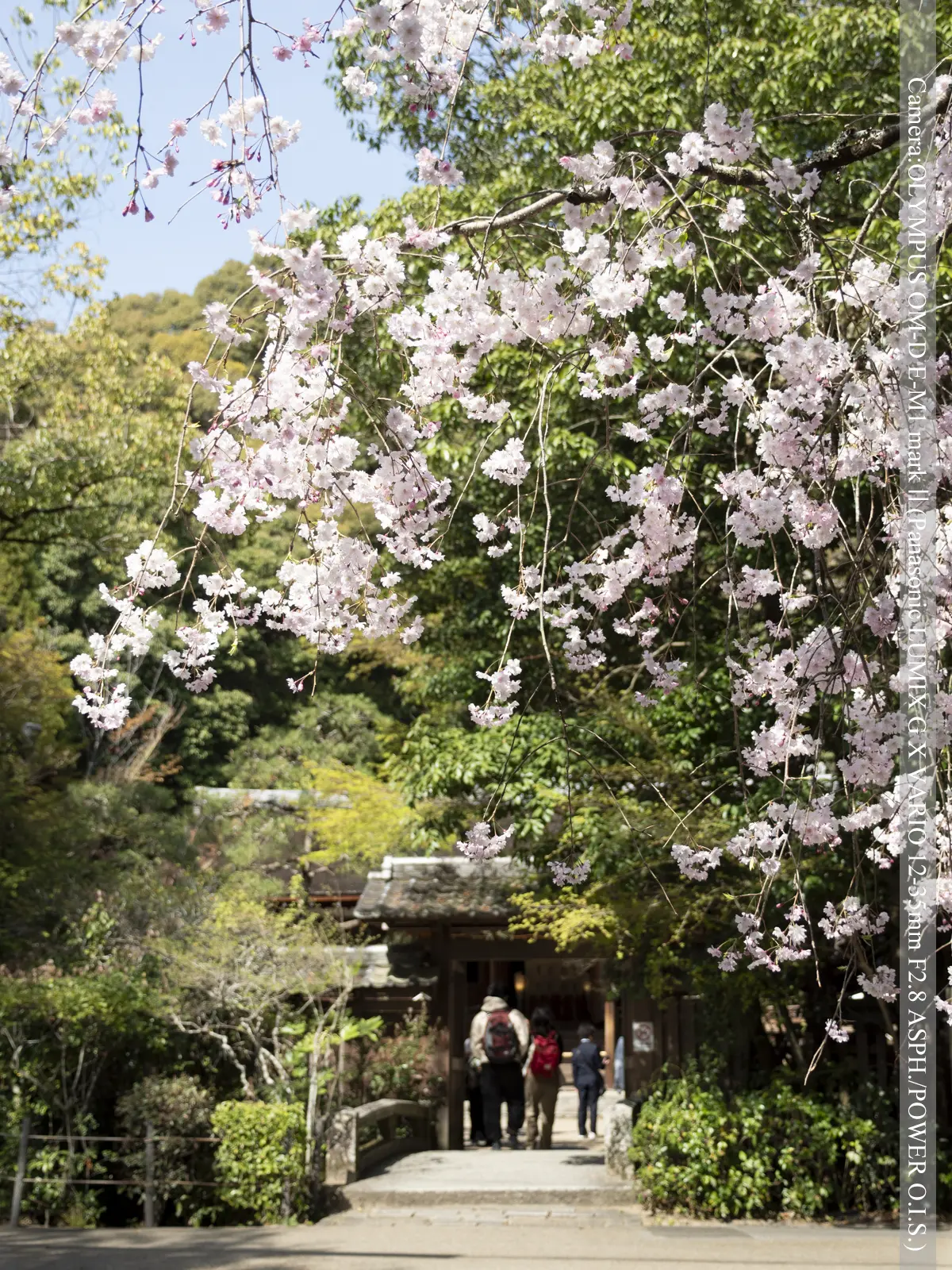 宇治・宇治上神社