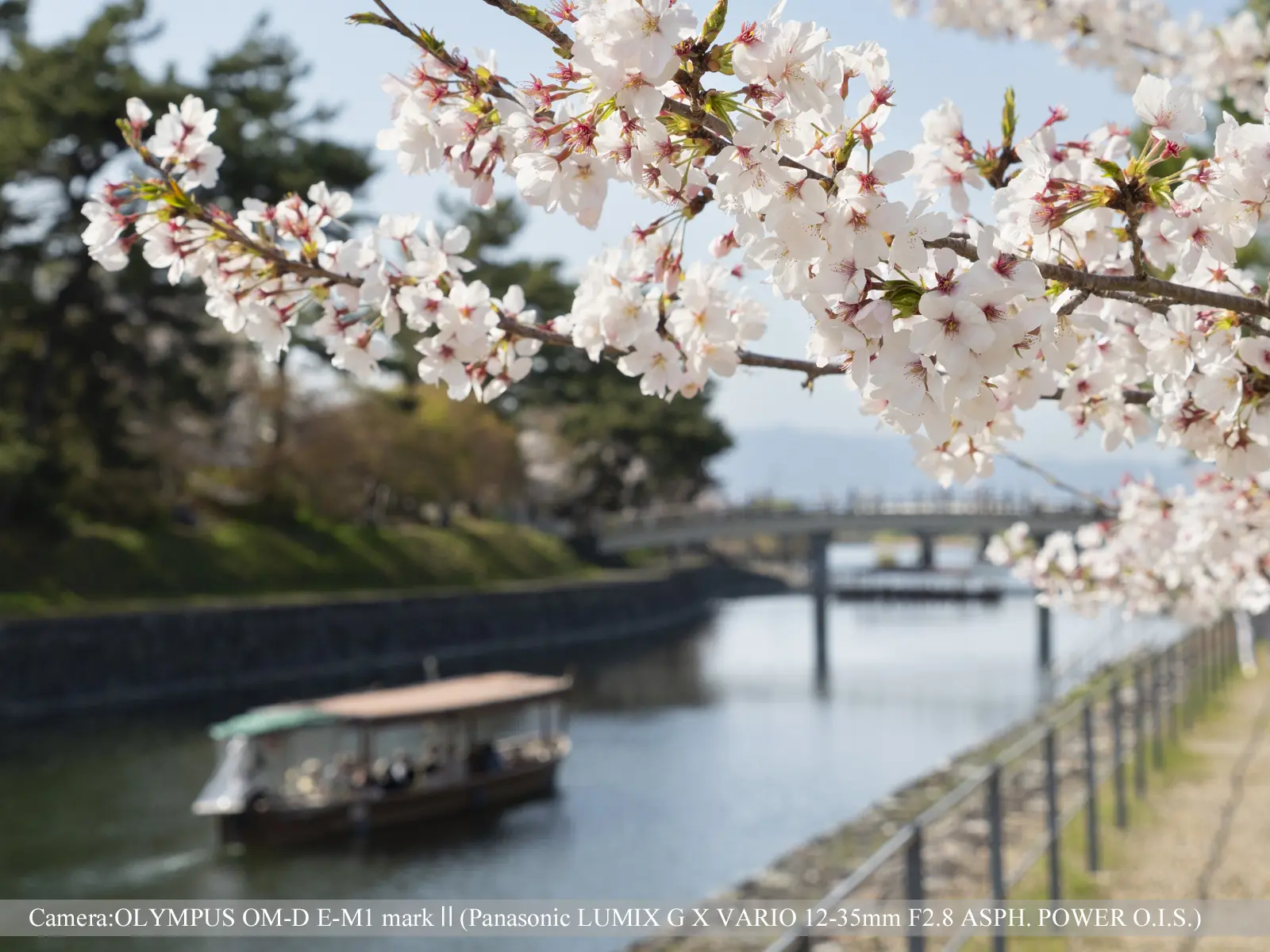 宇治・宇治公園（橘島）
