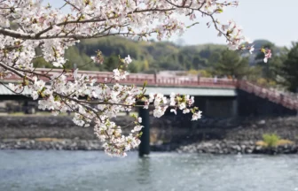 宇治・朝霧橋