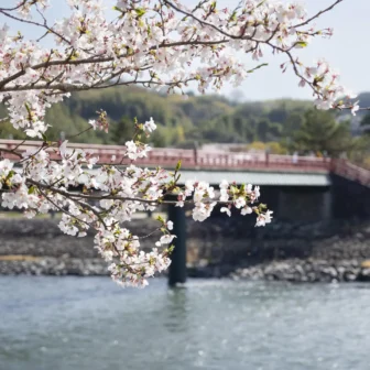 宇治・朝霧橋