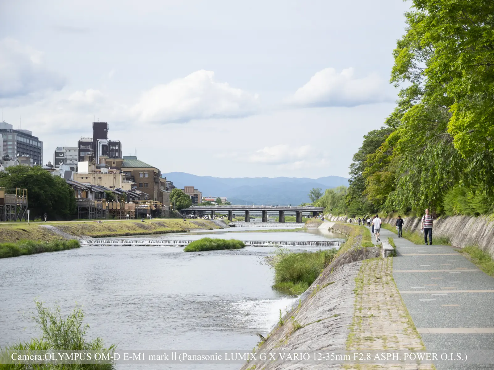 鴨川河川敷（東岸より上流を望む）