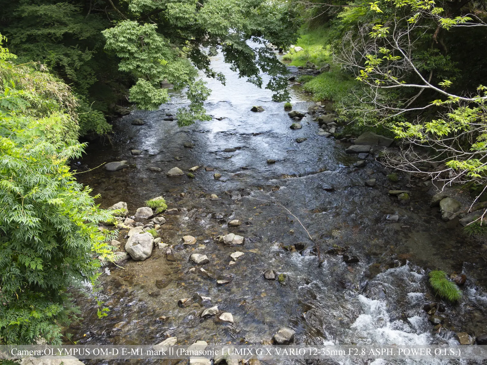 八瀬（高野川）