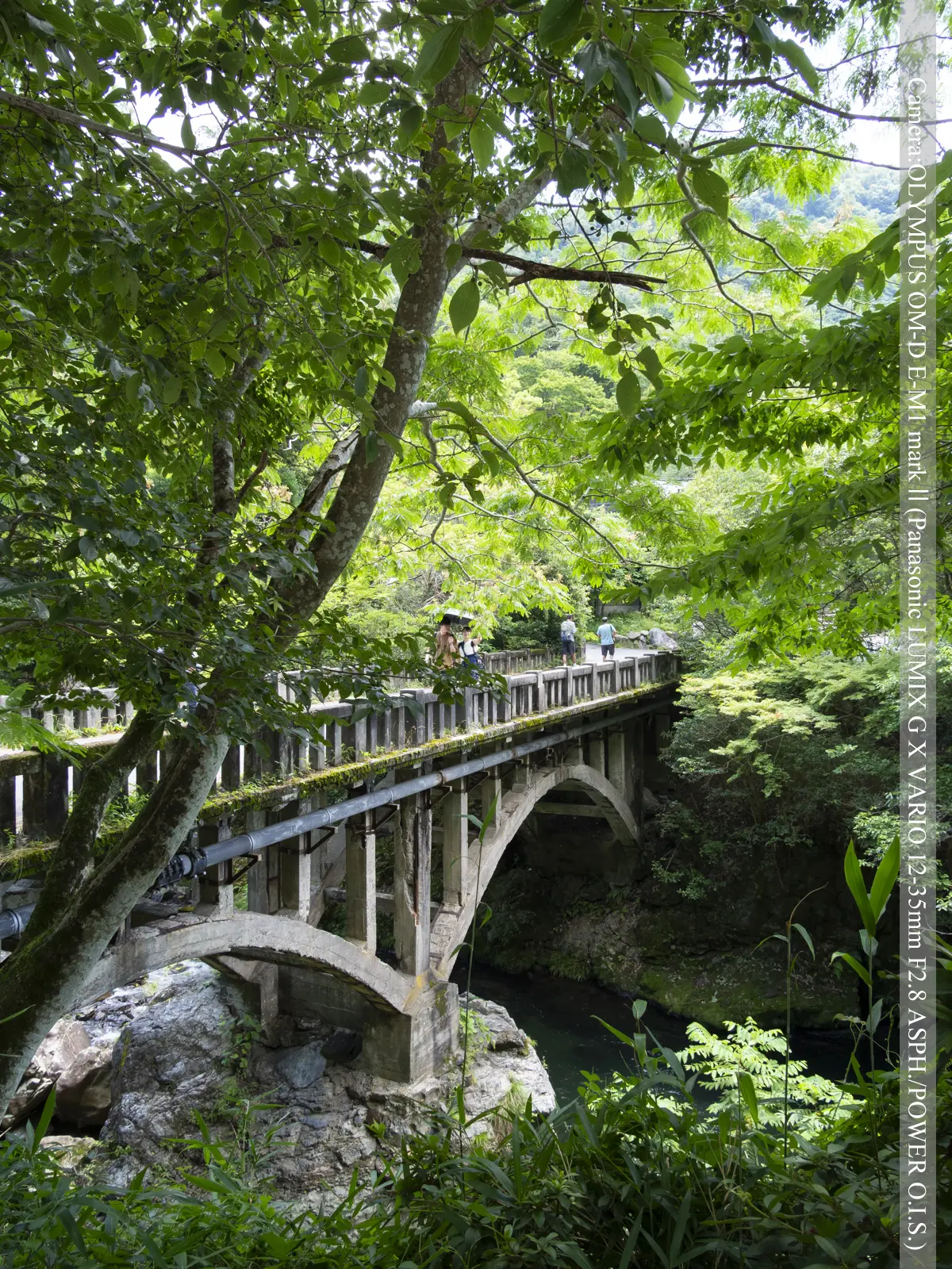 八瀬（高野川・西塔橋）