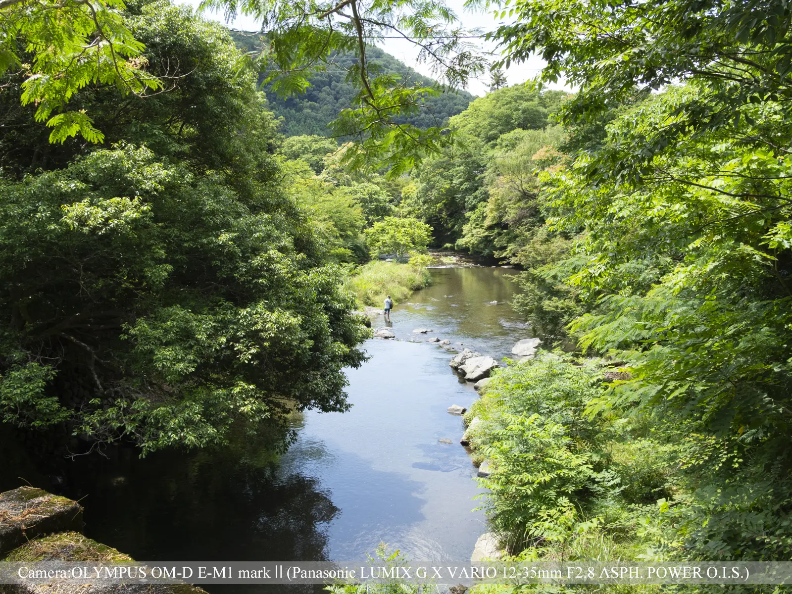 八瀬（高野川）