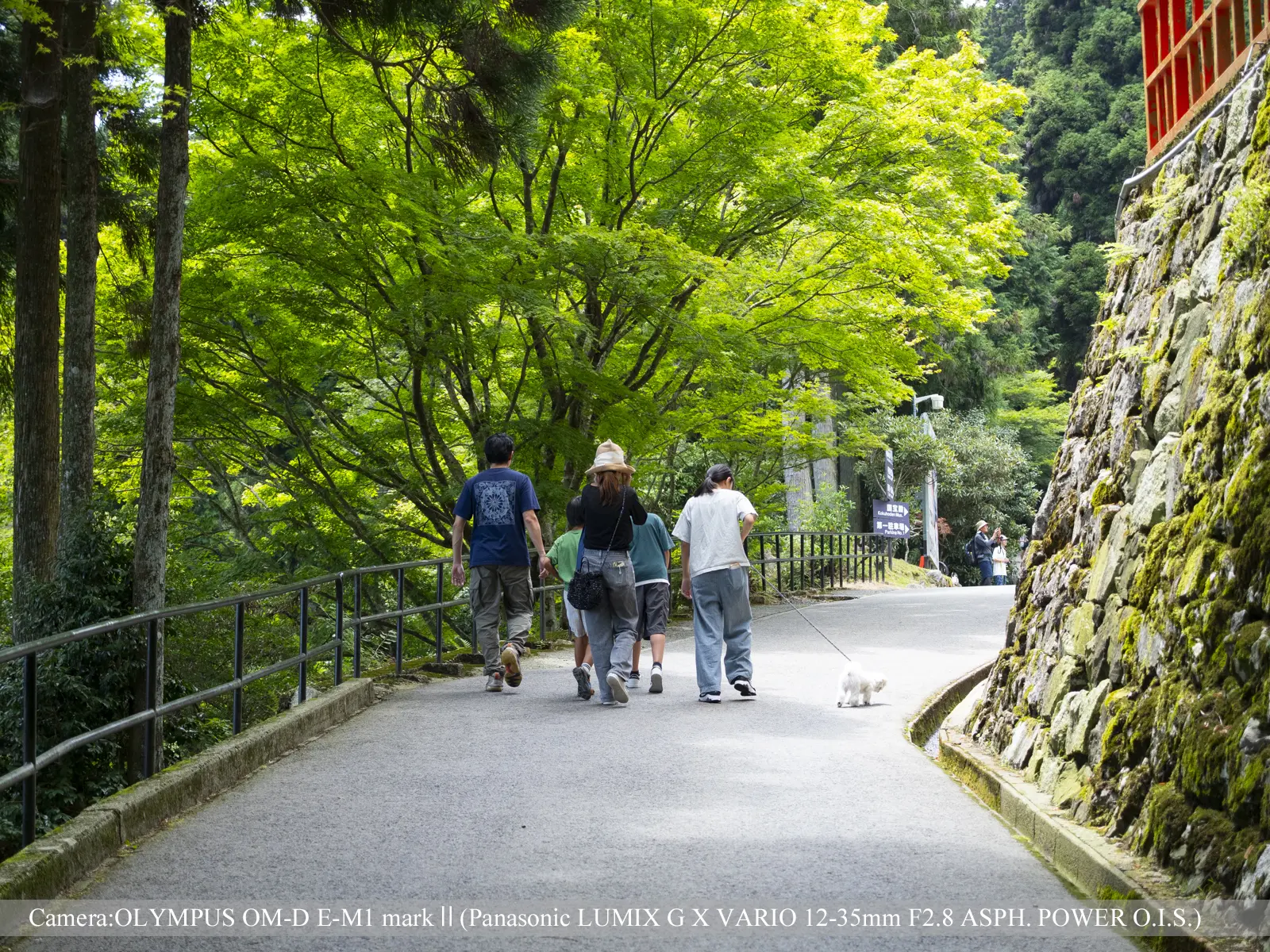 延暦寺山内（愛犬と共に）