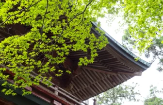 新緑と延暦寺文殊楼