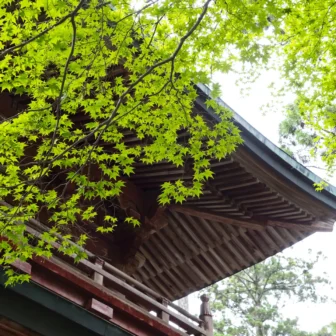 新緑と延暦寺文殊楼