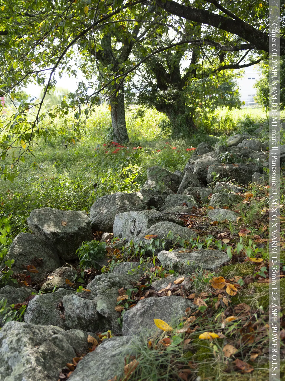 坂本城址公園-放置された石材