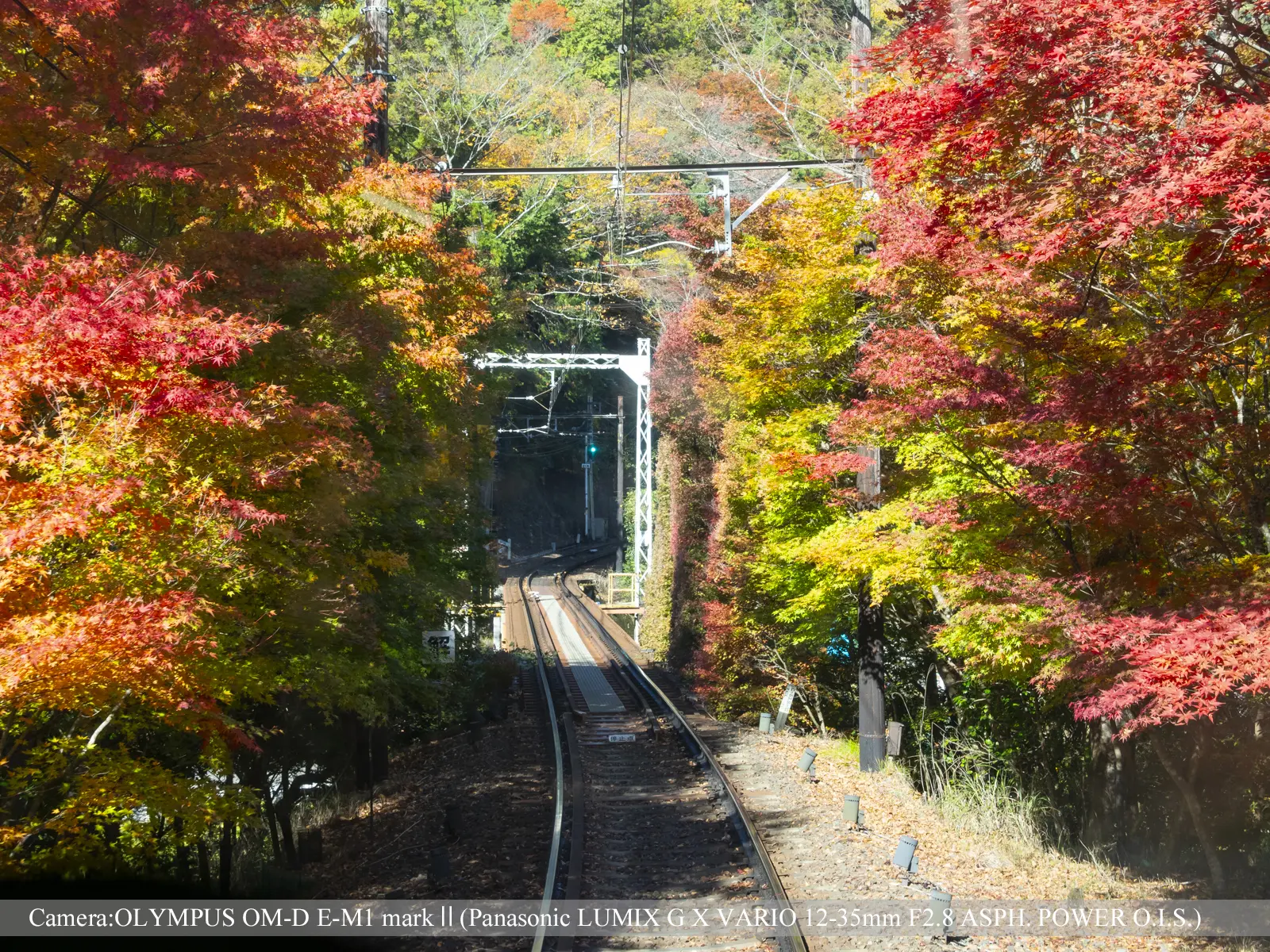 貴船（紅葉のトンネル）