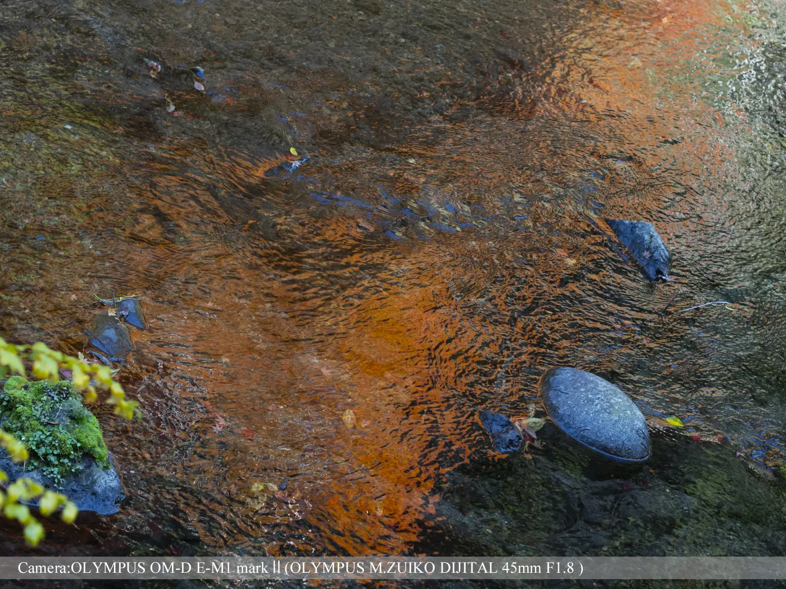 貴船（貴船川に映る紅葉）