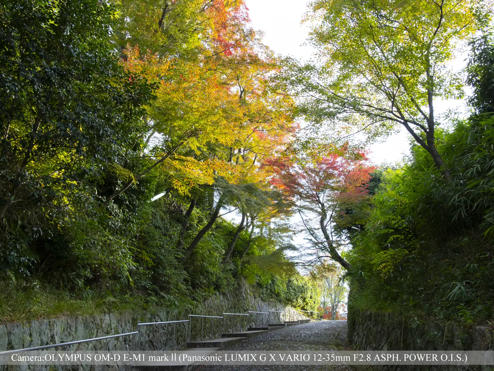真如堂北側参道