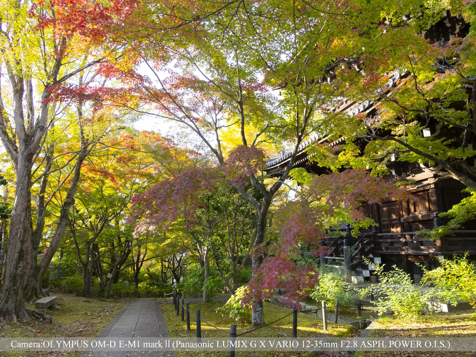 真如堂の紅葉(三重塔脇の小路)