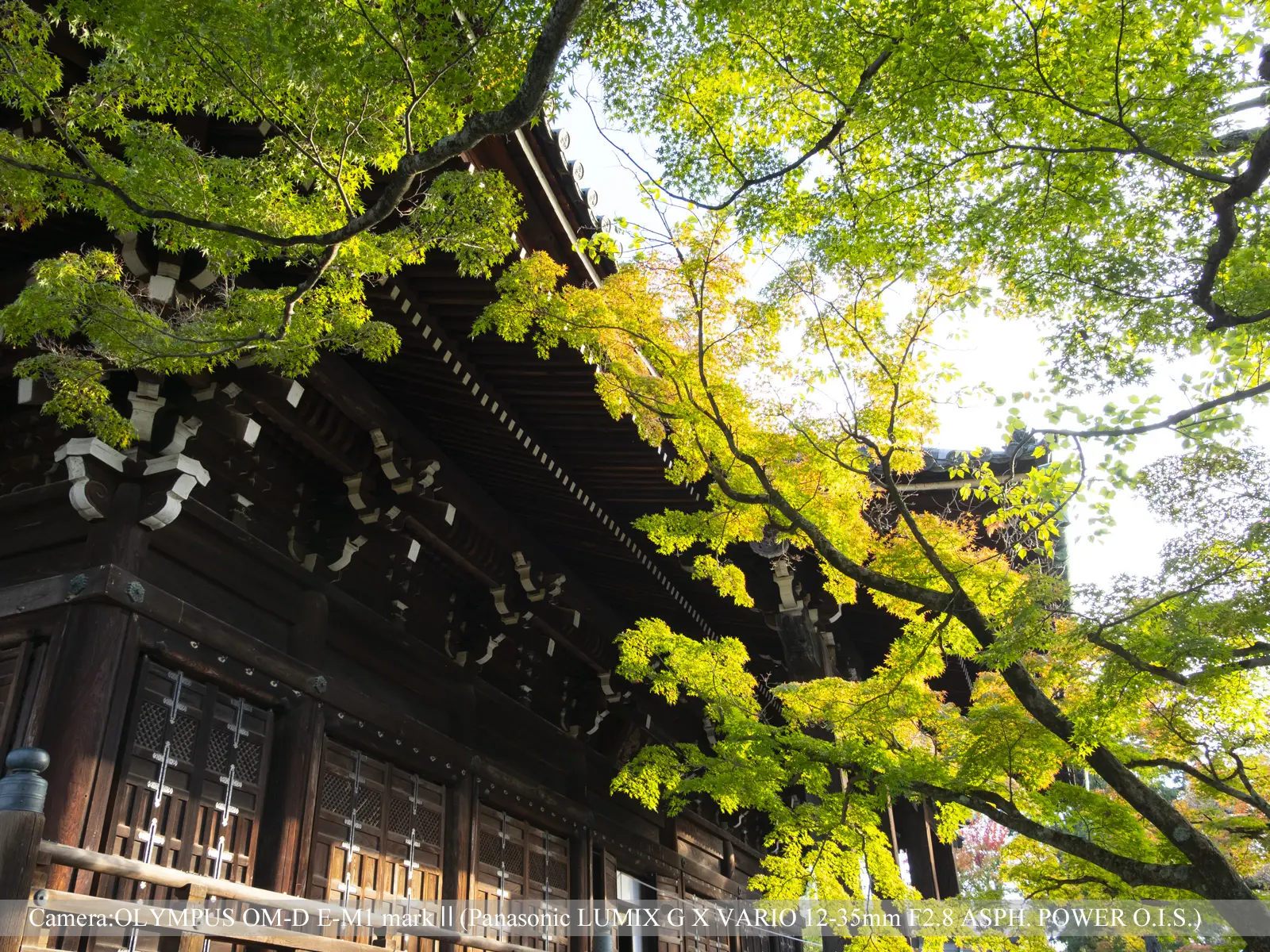 真如堂本堂と青紅葉