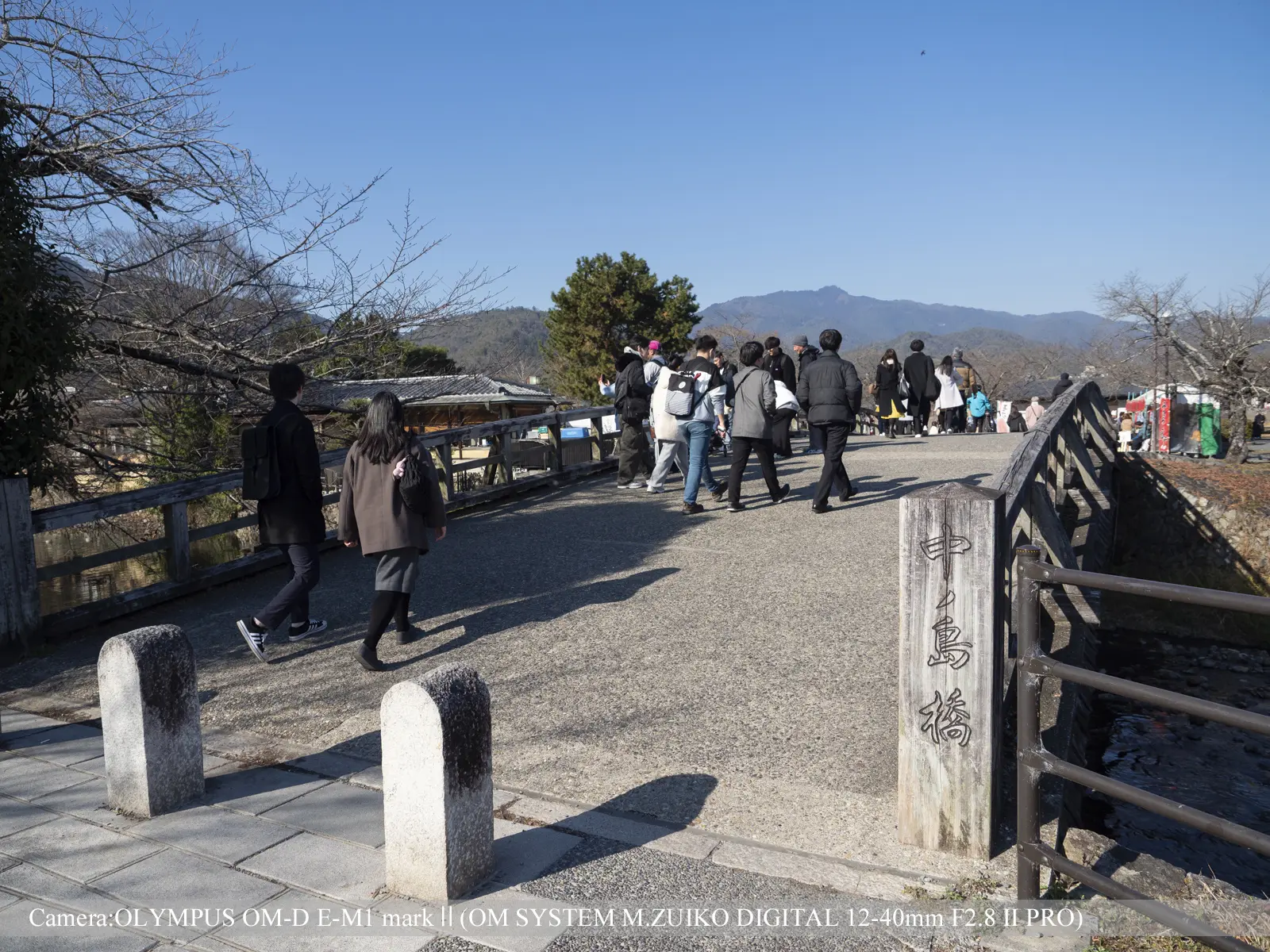 嵐山(中ノ島橋)