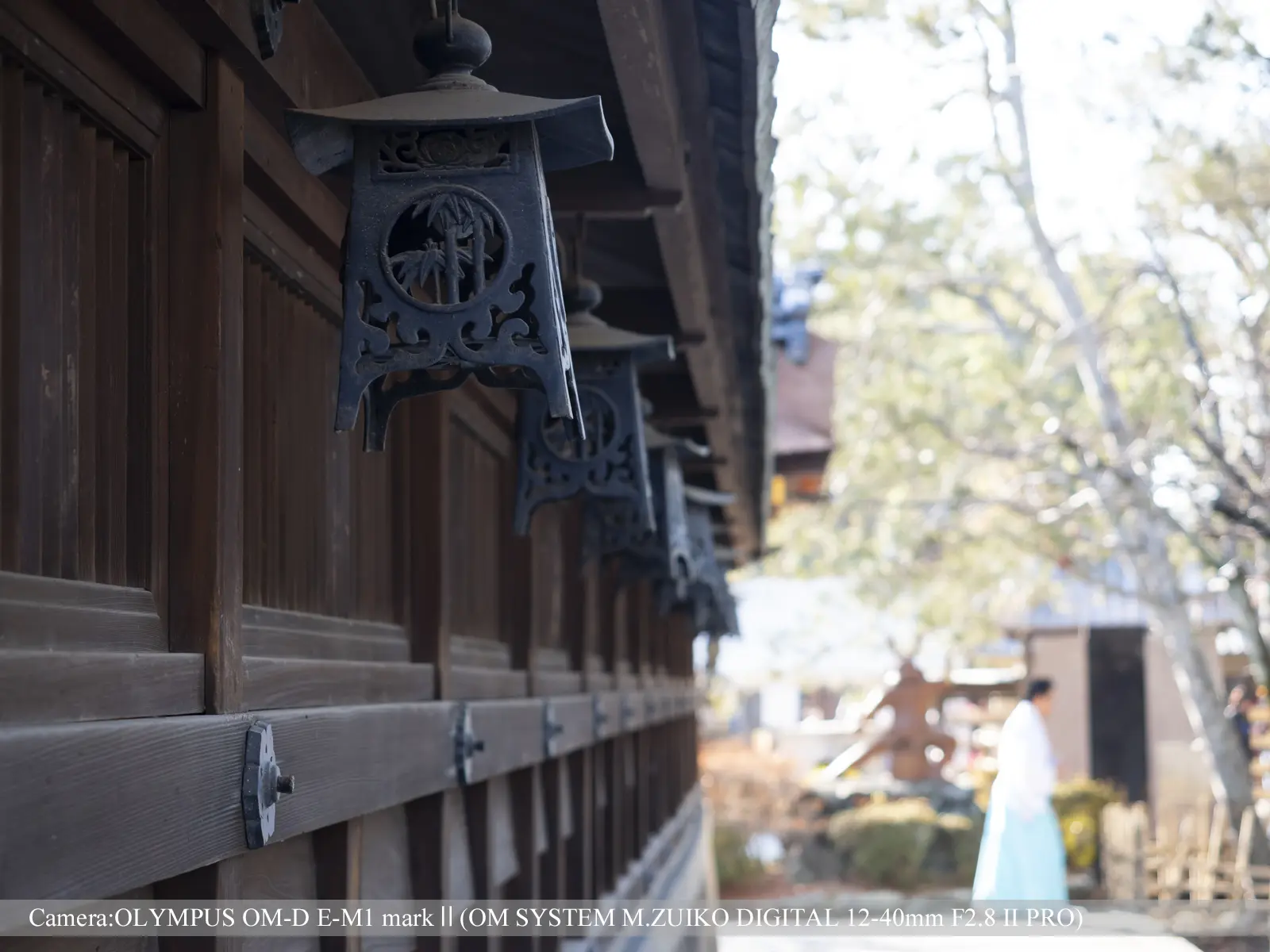 藤森神社境内（本殿外の吊り灯篭）