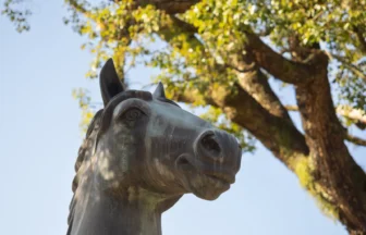 藤森神社（神馬像）