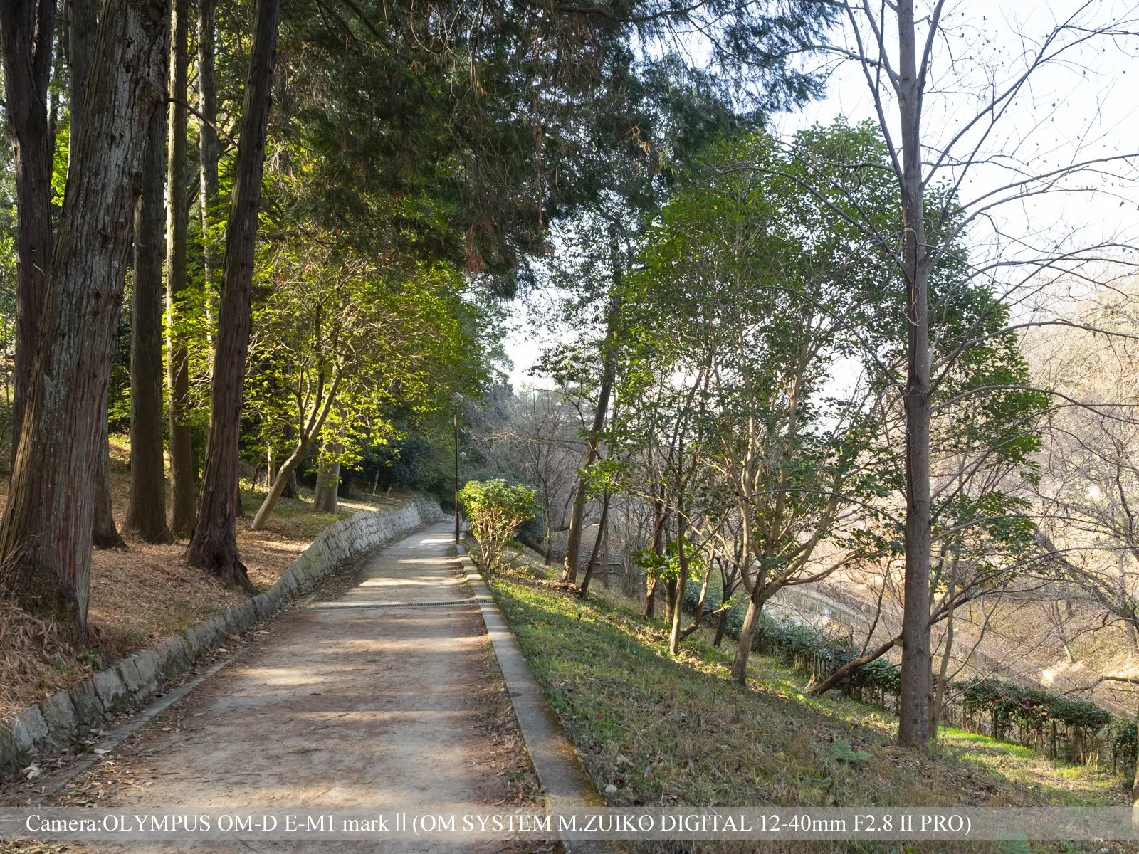 伏見北堀公園（遊歩道）