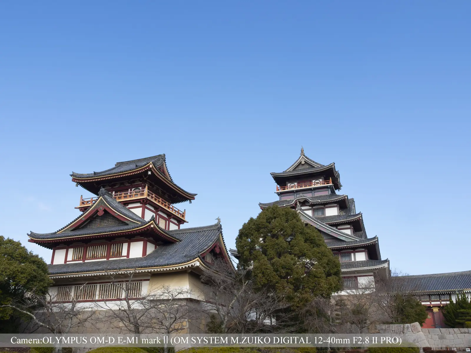 伏見桃山城運動公園（園内）